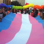 Bandeira-Trans-696×371