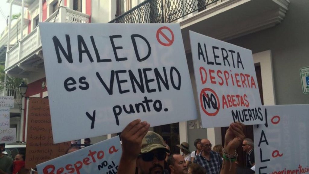 Puerto Rico: una colonia estadounidense