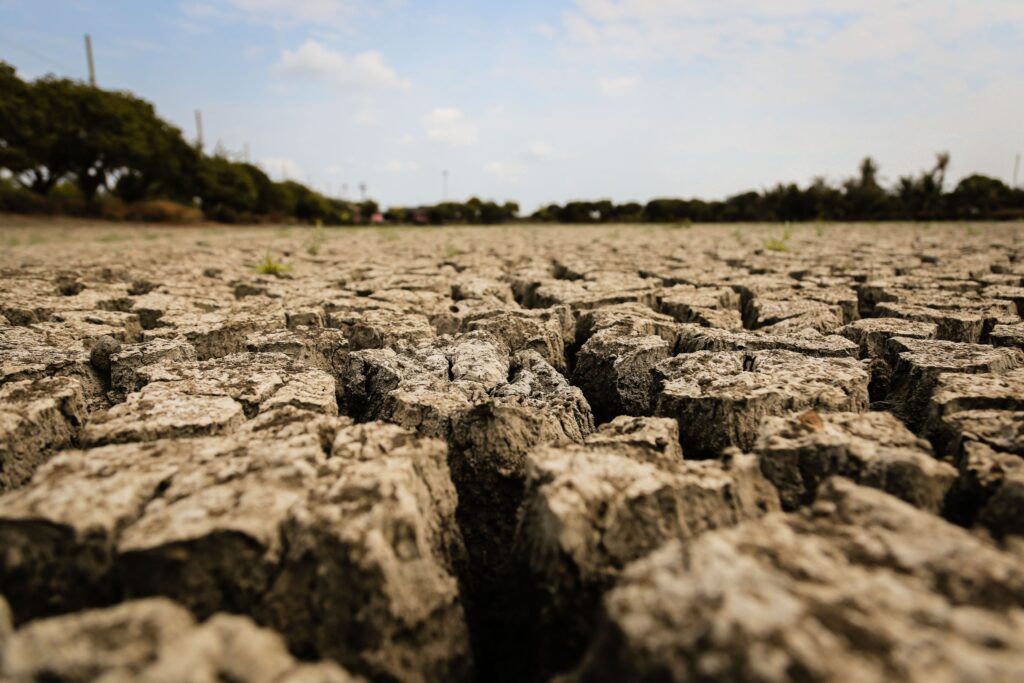 Cúpula del clima: acabar con el capitalismo para impedir catástrofe climática