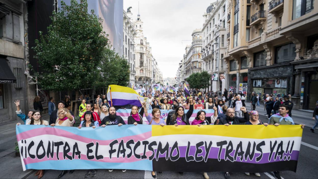 ¡Ley Trans ya! El gobierno sigue negando el derecho a la libre autodeterminación de género