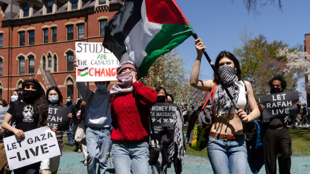 La live de la juventud de la LIT por Palestina fue un éxito