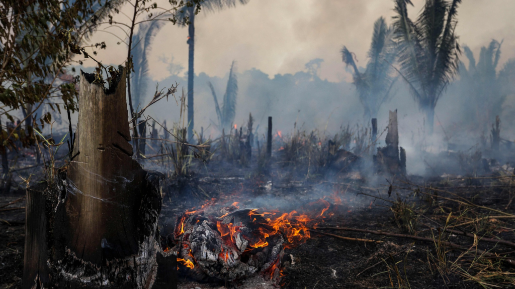 La barbarie climática golpea la puerta