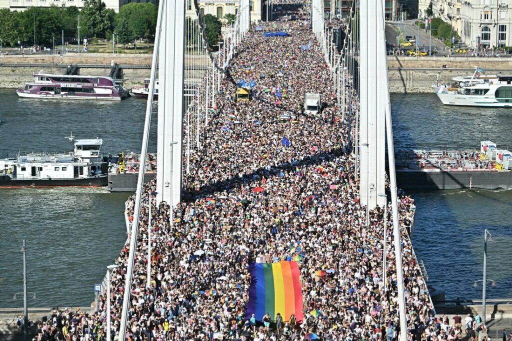 Orgullo LGBTI+ ¡Una revuelta contra los gobiernos reaccionarios de todo el mundo!