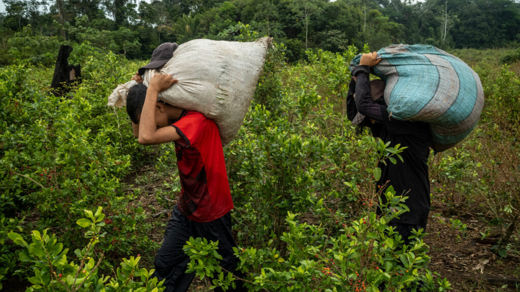 El narcotráfico es un negocio capitalista, conveniente para la intervención imperialista