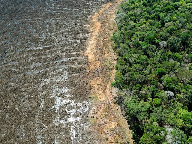 Flávio Bolsonaro, la extrema derecha y los métodos fascistas en el campo y la Amazonía