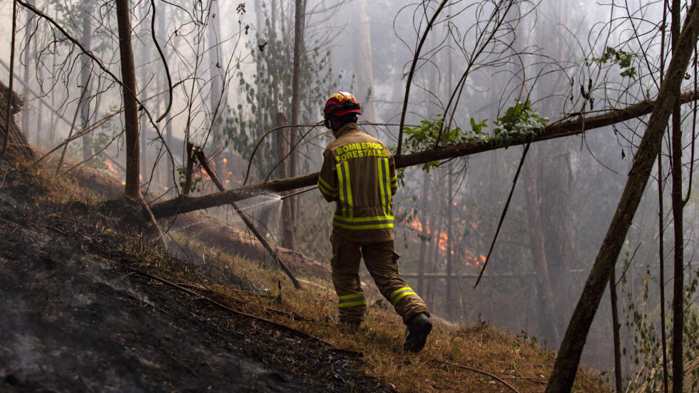 Colômbia | A crise ambiental não é conto. Emergência nacional já!