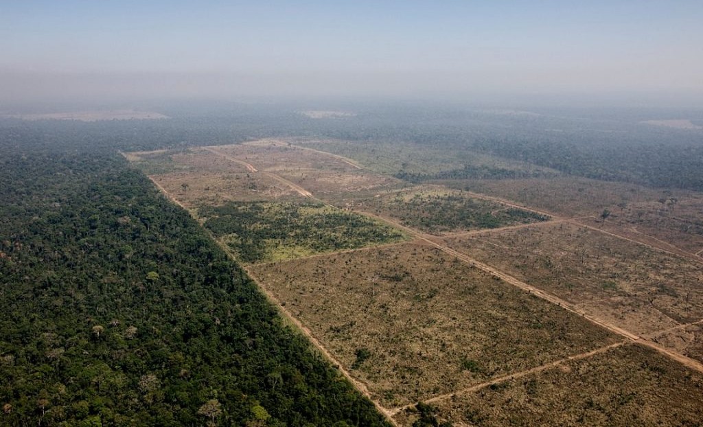 Em ano de El Niño, Congresso avança sobre áreas protegidas e reduz Flona do Jamanxim